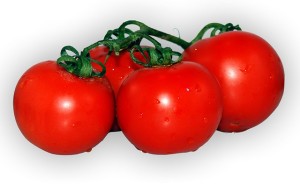 Tomatoes