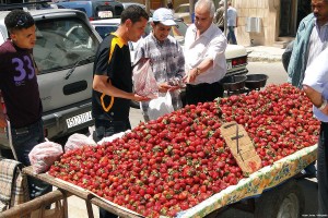 Vendor