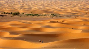 sand dunes