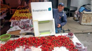 A farmer in Morocco with an Evaptainer prototype