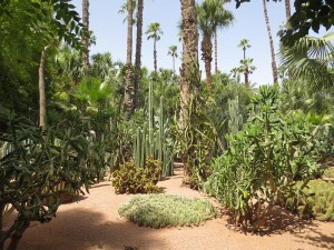 Jardin Majorelle, Marrakech (c) Arnaud 25