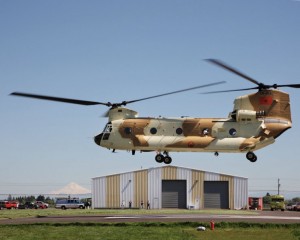 Chinooks