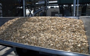 Wood chips. Author: U.S. Department of Agriculture. License: Creative Commons, Attribution 2.0 Generic